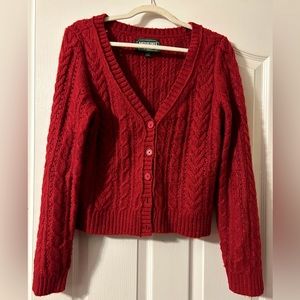 American Eagle Oversized Cardigan